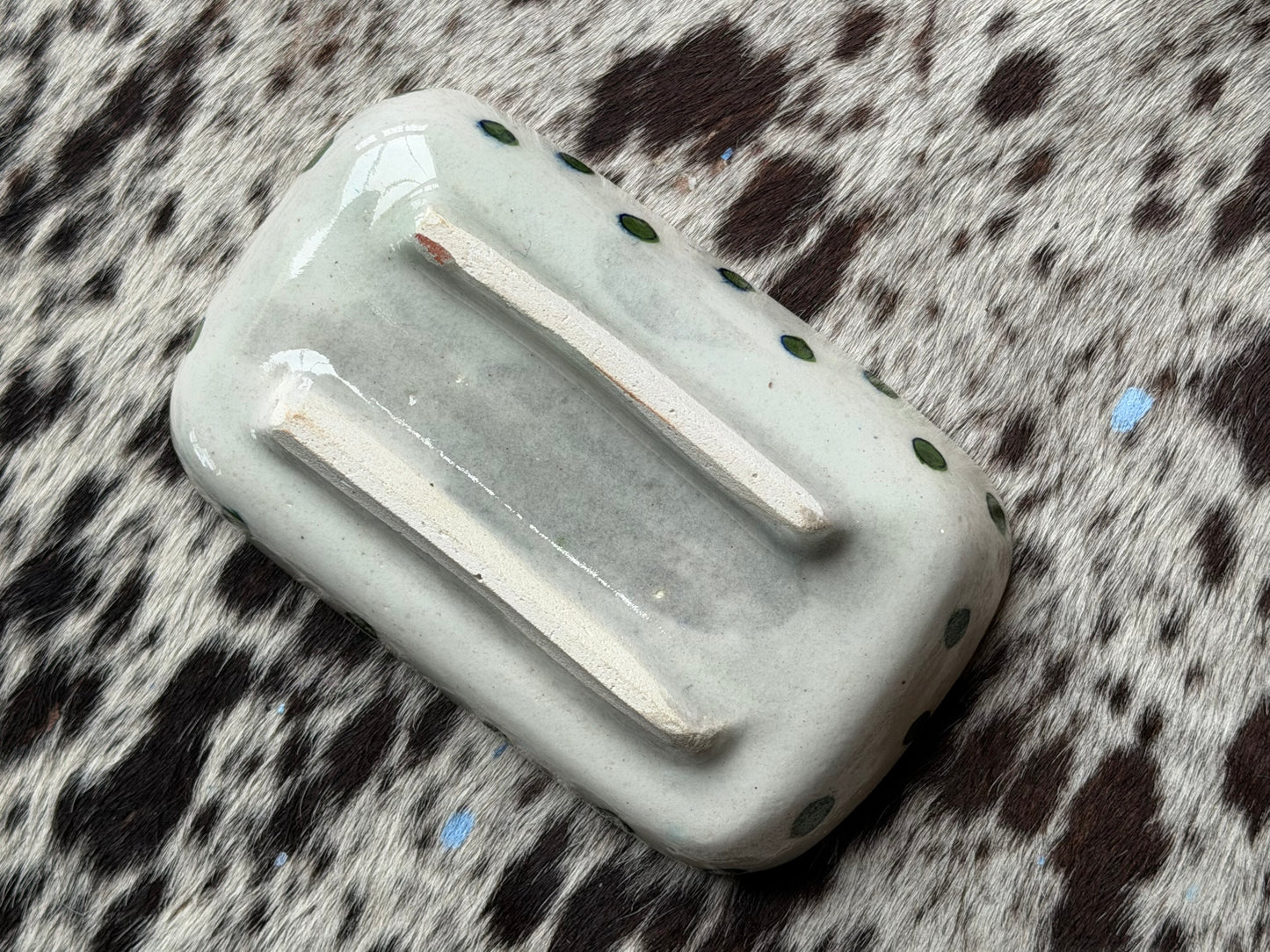 Rektangulær skål med fisk