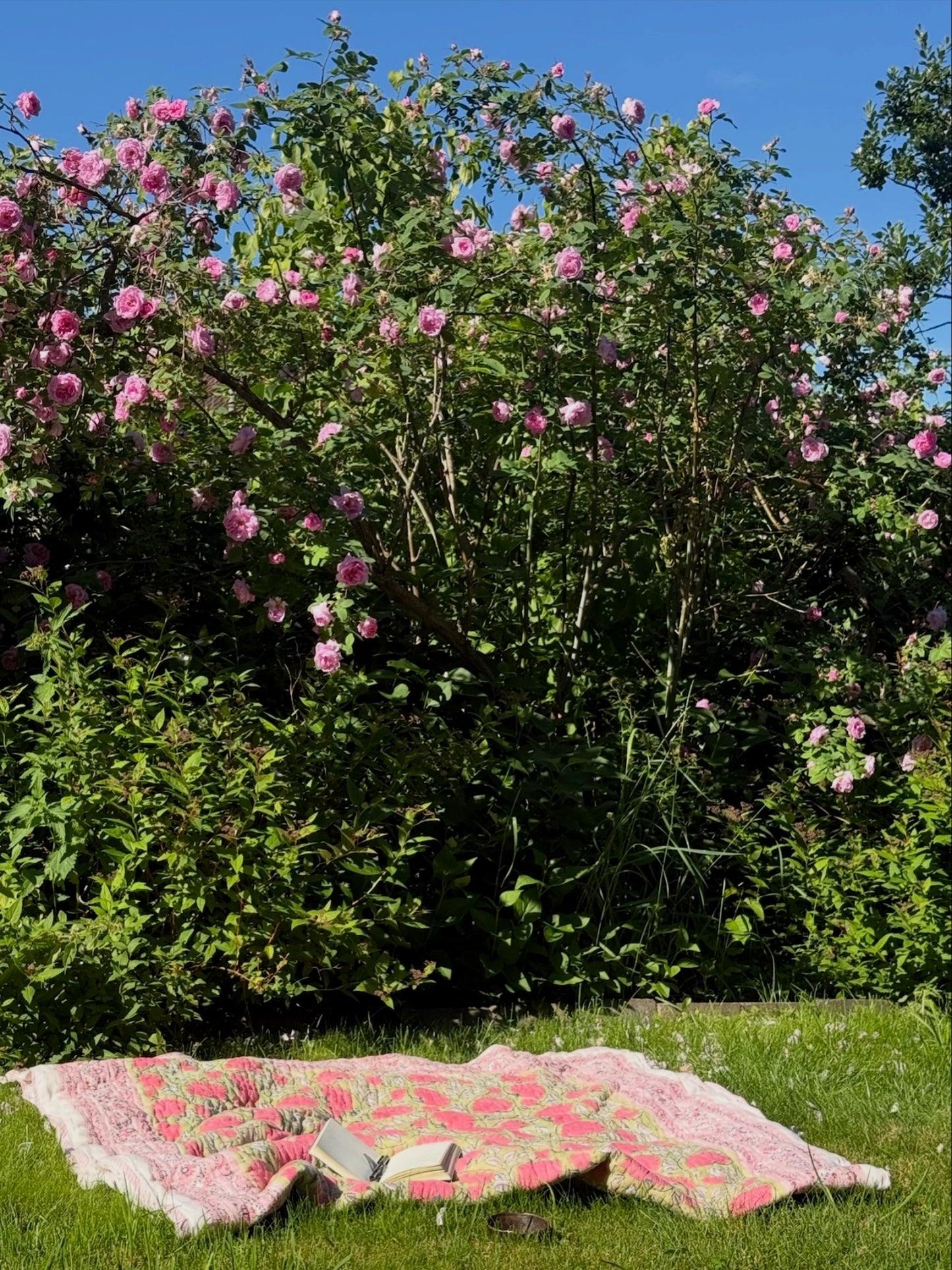 Vatteppe - grønn og rosa